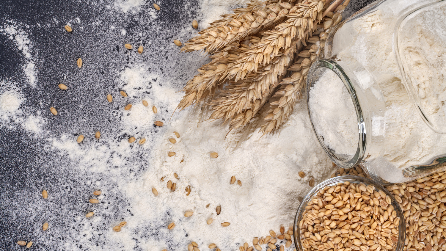 آرد گندم چیست و چگونه آرد گندم تولید کنیم؟
